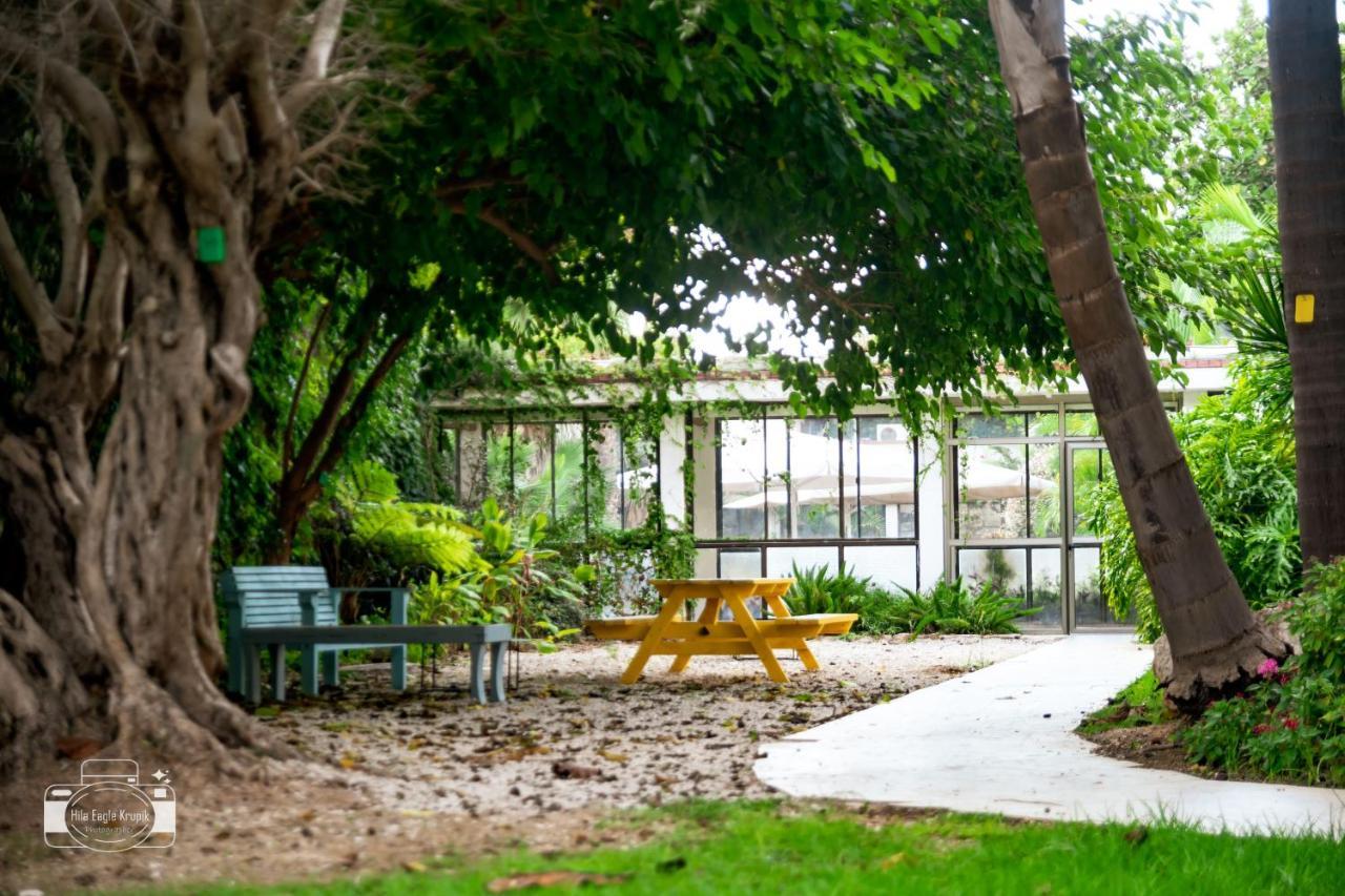 Eden Inn Zichron Ja’akow Exterior foto